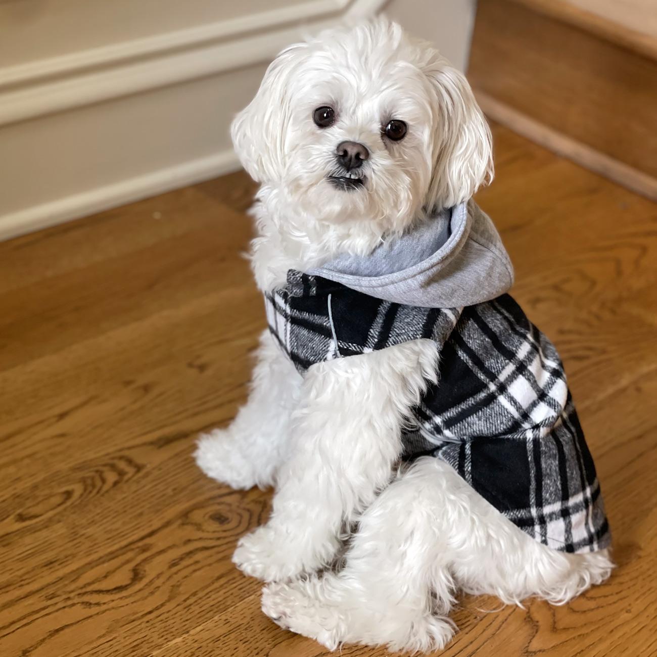 Flannel Weekender Dog Sweatshirt Hoodie - Trendy Dog Boutique