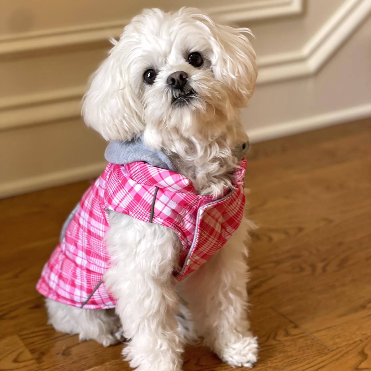 Flannel Weekender Dog Sweatshirt Hoodie - Trendy Dog Boutique