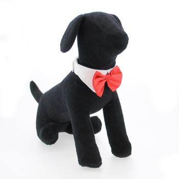 Formal Wear Wedding White Collar and Red Satin Bow Tie, On Model - Trendy Dog Boutique