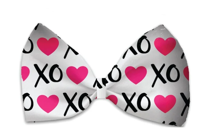 XOXO Dog Bow Tie, Front View - Trendy Dog Boutique