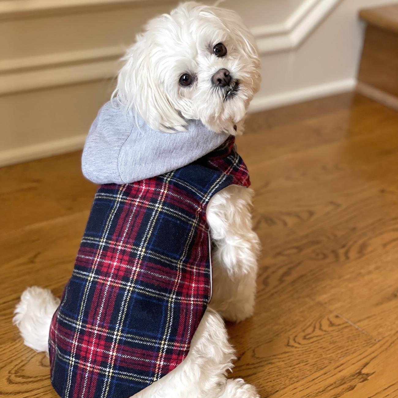 Flannel Weekender Dog Sweatshirt Hoodie - Trendy Dog Boutique