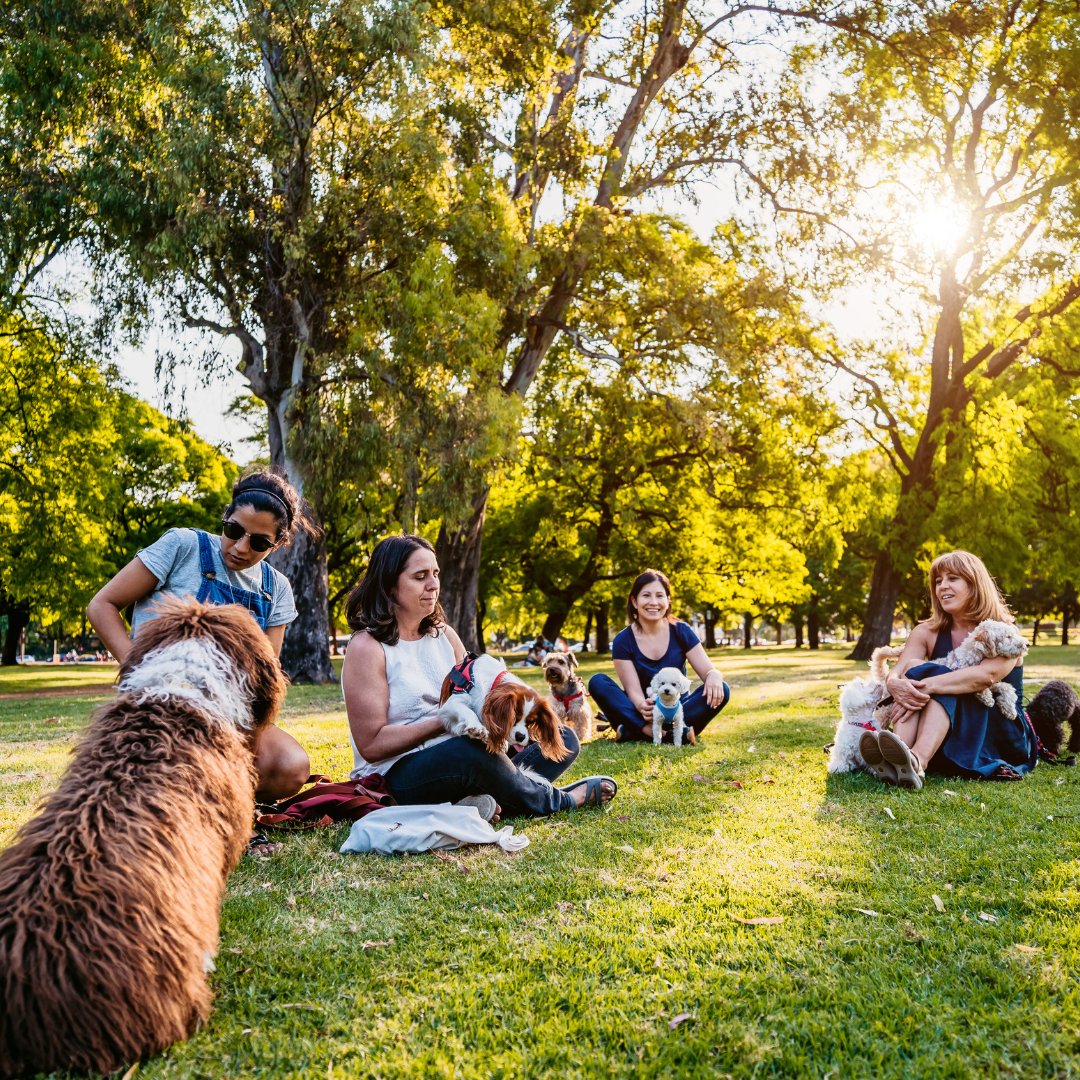 The Importance of Socialization: How to Socialize Your Puppy