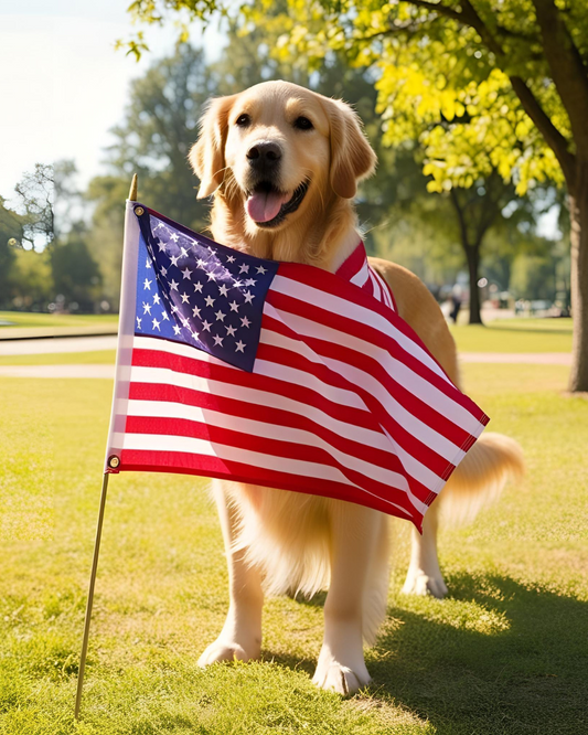 Memorial Day: Honoring Heroes, Celebrating Freedom with Our Four-Legged Friends by Our Side
