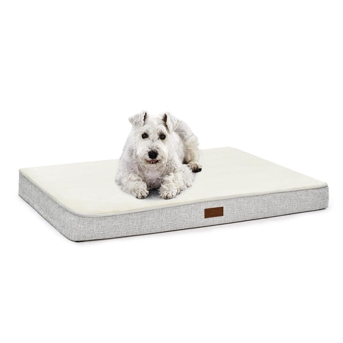 Orthopedic Dog Bed with Washable Cover, Non-Slip - Trendy Dog Boutique