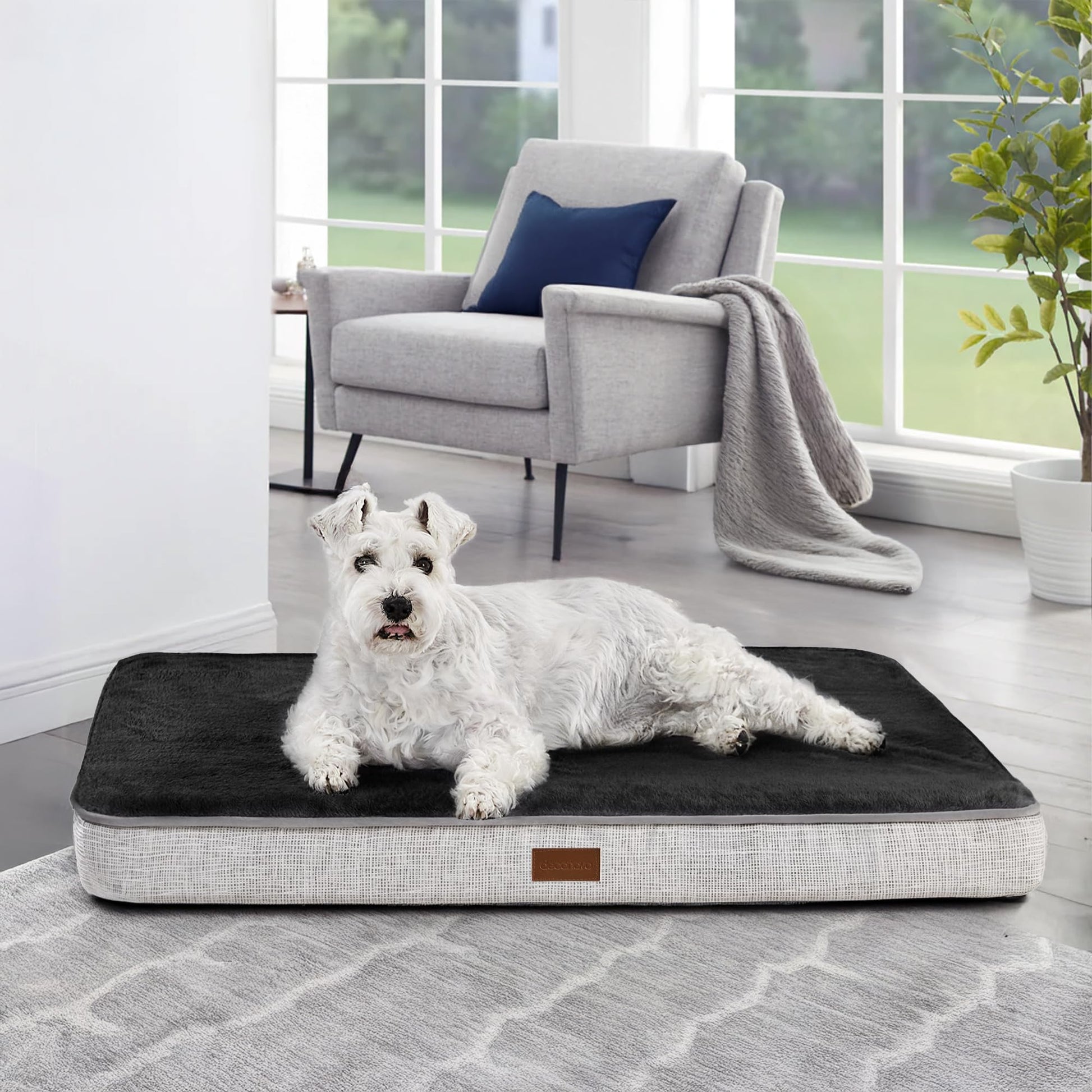Orthopedic Dog Bed with Washable Cover, Non-Slip - Trendy Dog Boutique