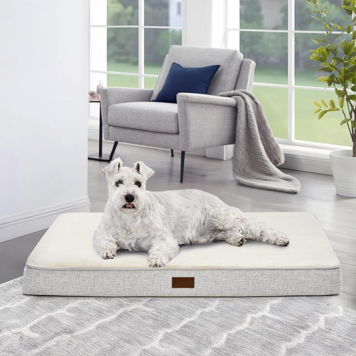 Orthopedic Dog Bed with Washable Cover, Non-Slip - Trendy Dog Boutique