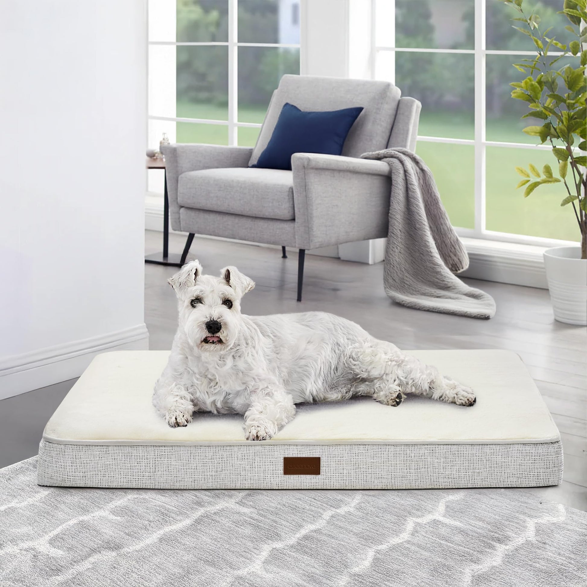 Orthopedic Dog Bed with Washable Cover, Non-Slip - Trendy Dog Boutique