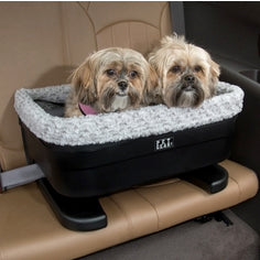 Pet Car Booster Seat, Fog, With 2 Dogs - Trendy Dog Boutique