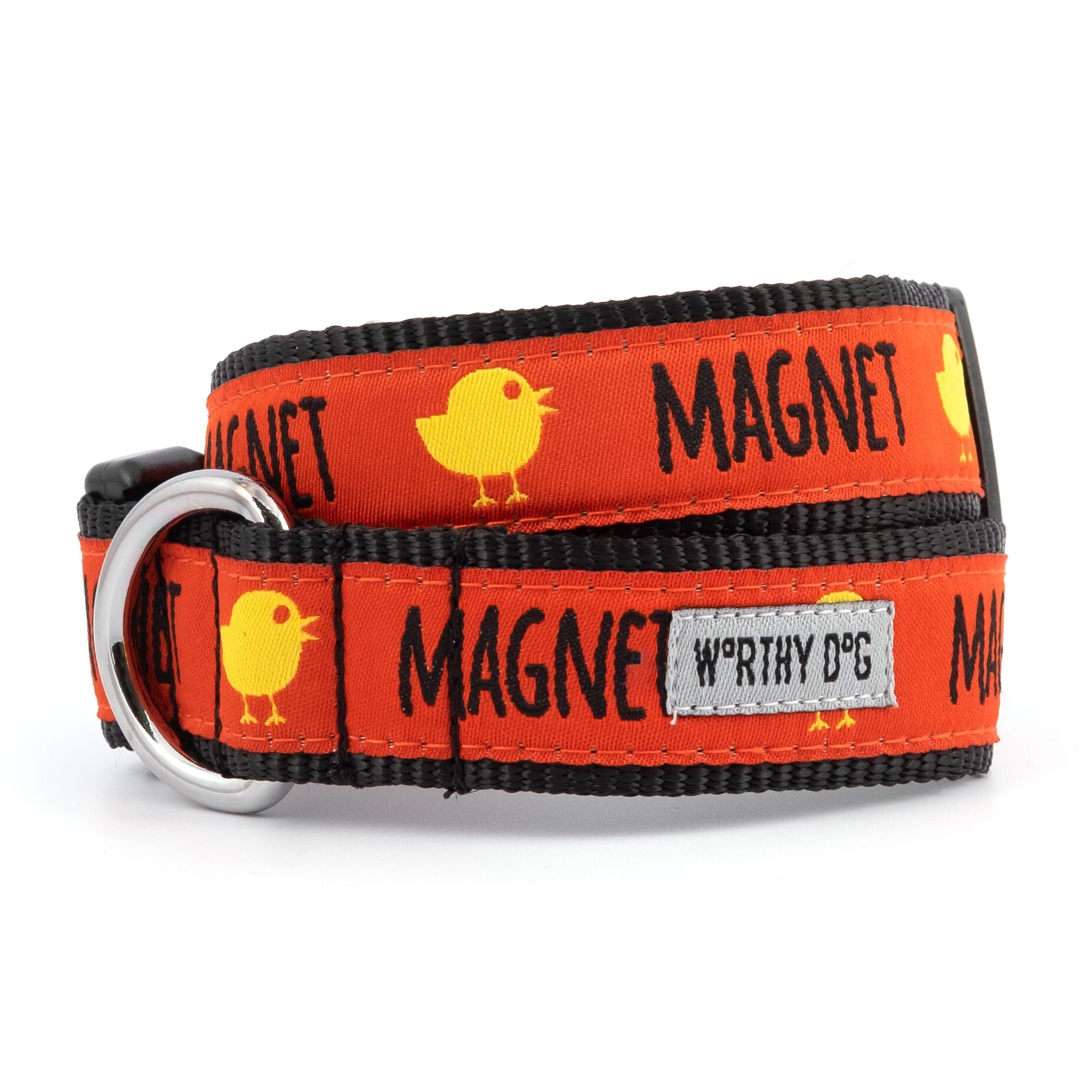 Chick Magnet Dog Collar, Front View - Trendy Dog Boutique