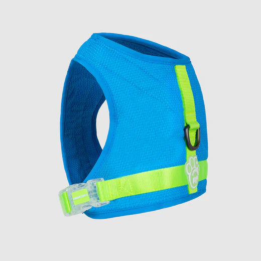 Cooling Dog Harness, Back View - Trendy Dog Boutique