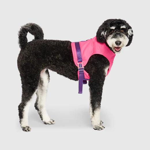 Cooling Dog Harness, On Large Dog, Pink - Trendy Dog Boutique