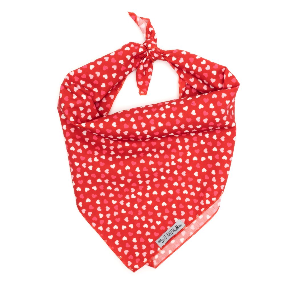 Cupid Valentine Dog Bandana, Front View, Tied - Trendy Dog Boutique