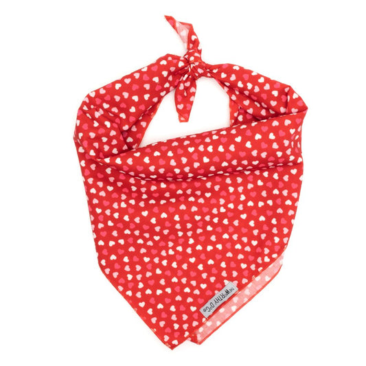 Cupid Valentine Bandana - Trendy Dog Boutique