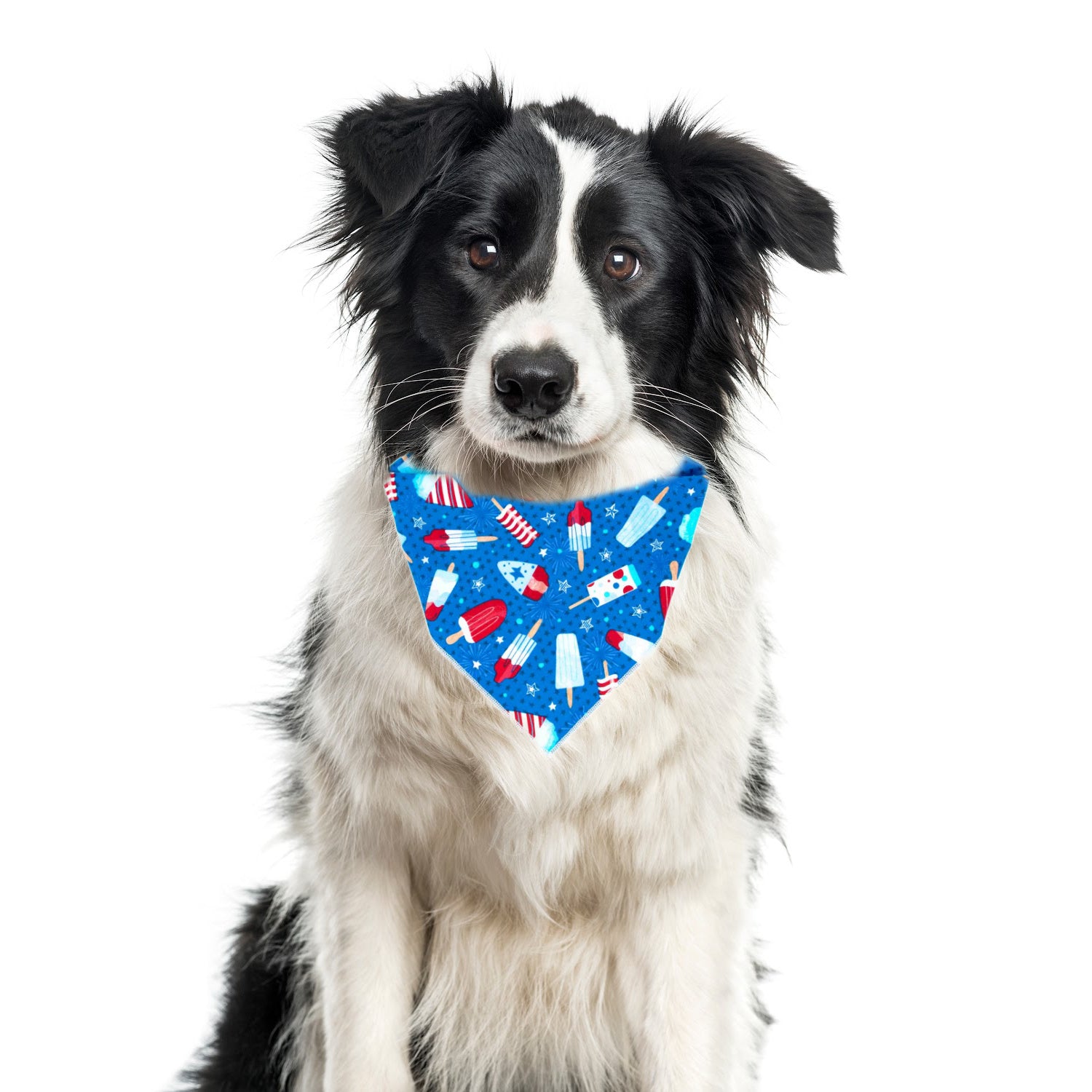 Show Your Pup’s Patriotic Side with This Dog Bandana - Trendy Dog Boutique