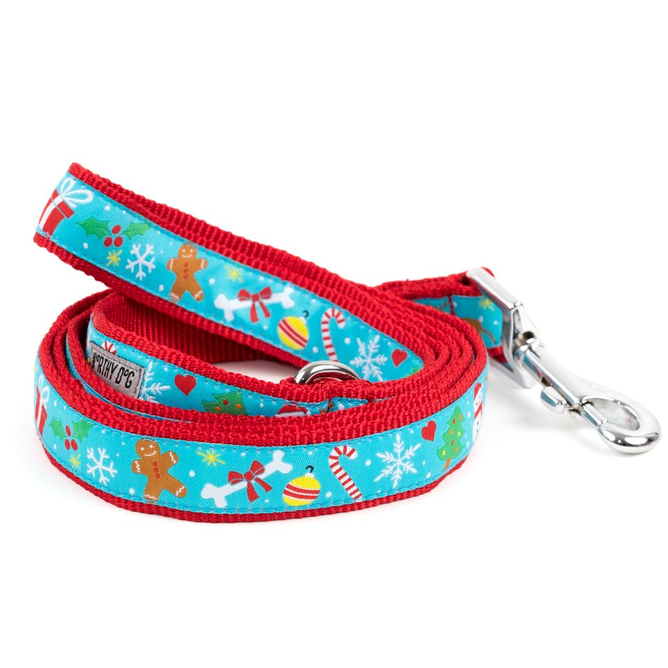 Winter Wonderland Collar & Lead - Trendy Dog Boutique