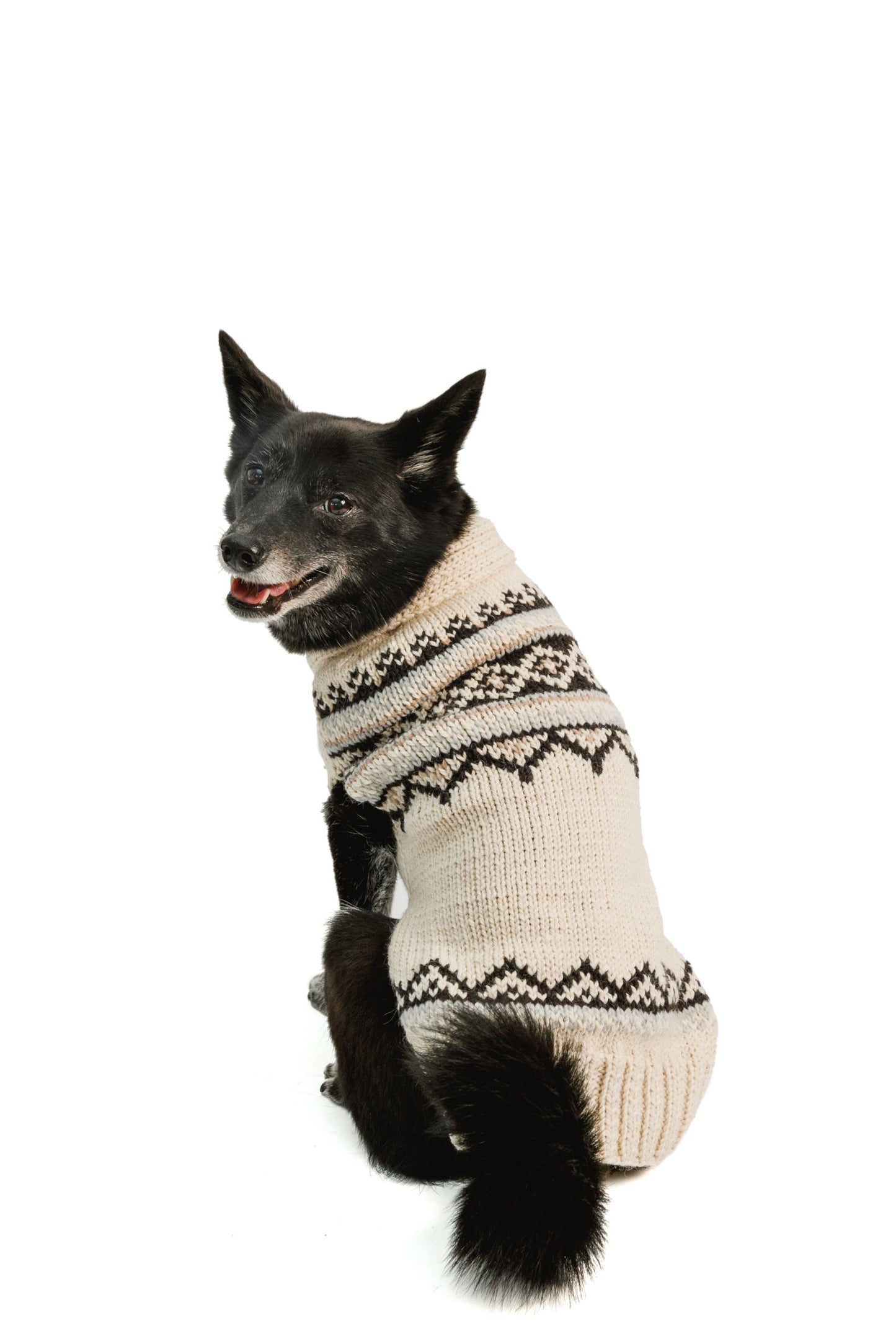 Alpaca Cream Wyatt Dog Sweater, On Dog Rear View - Trendy Dog Boutique