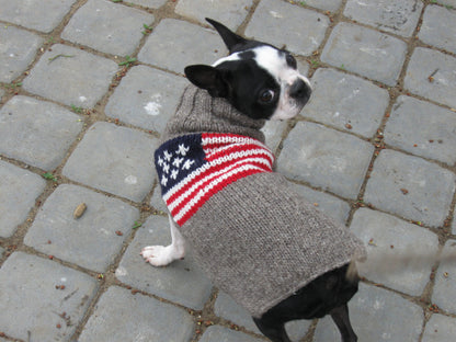 American Flag Wool Dog Sweater, on small dog - Trendy Dog Boutique