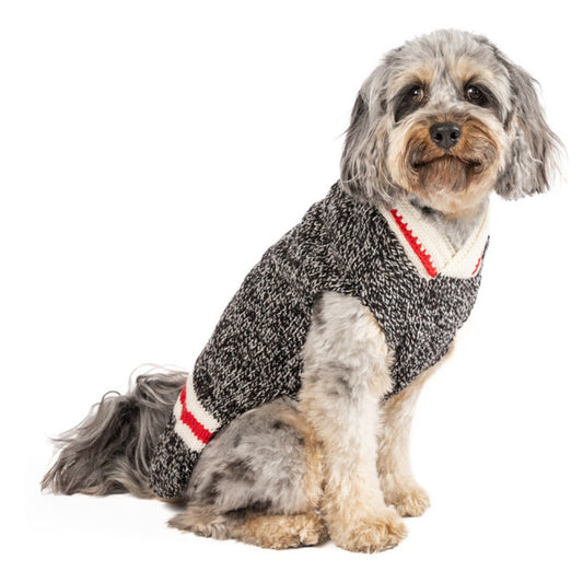 Boyfriend Dog Sweater, On Dog, Side View - Trendy Dog Boutique