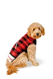 Buffalo Plaid Dog Sweater, On Dog - Trendy Dog Boutique