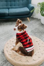 Buffalo Plaid Dog Sweater, On Small Dog, Side - Trendy Dog Boutique