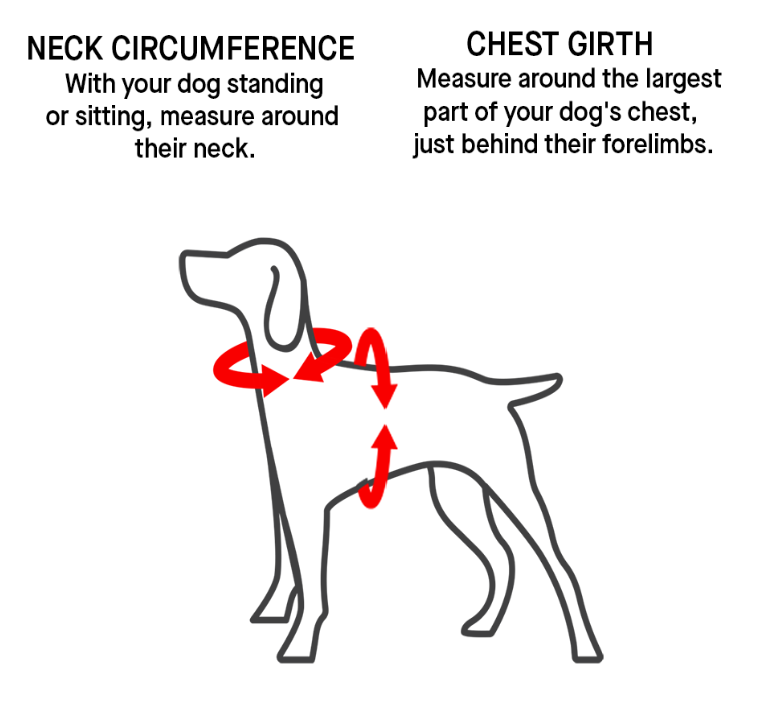Cooling Dog Harness, Measurement Instructions - Trendy Dog Boutique