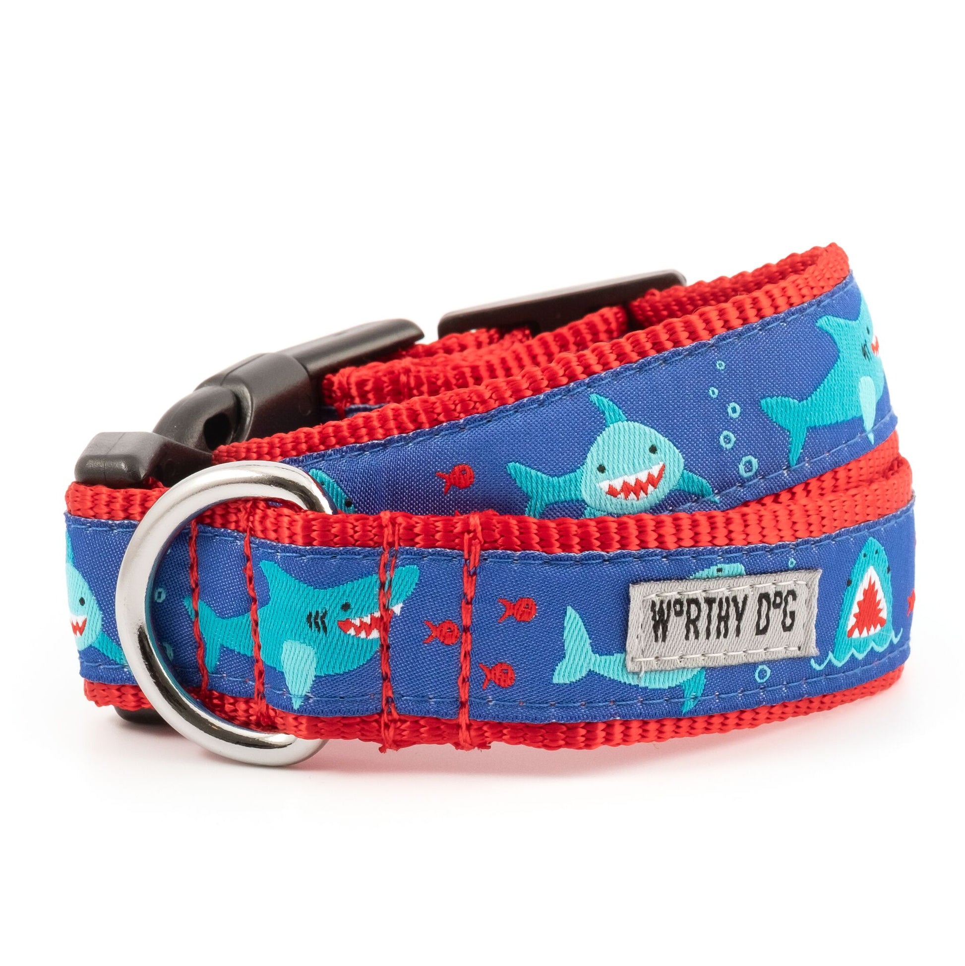 Chomp Shark Dog Collar, Front View - Trendy Dog Boutique