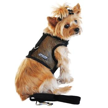 Cool Mesh Classic Black Dog Harness, On Dog, Rear View - Trendy Dog Boutique