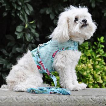 Cool Mesh Dog Harness with Leash in the Surfboards and Palms Design - Trendy Dog Boutique