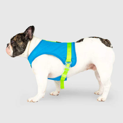 Cooling Dog Harness, On Small Dog, Side View - Trendy Dog Boutique