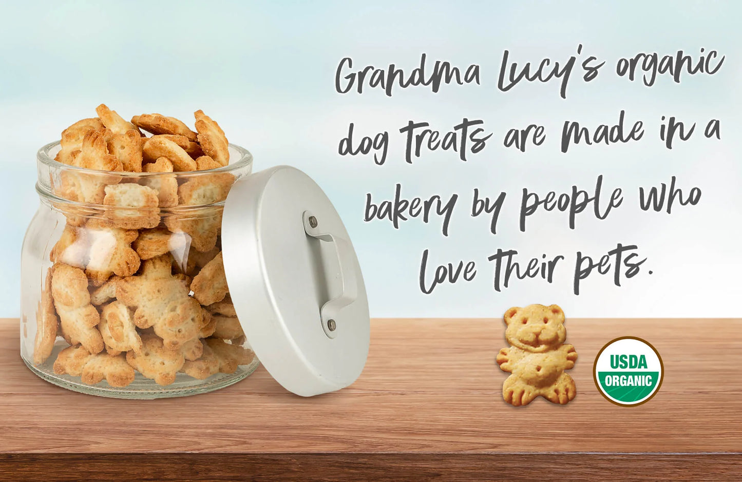 Organic Cranberry Dog Treats - Trendy Dog Boutique