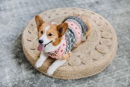 Peach Fairisle Dog Sweater - Trendy Dog Boutique