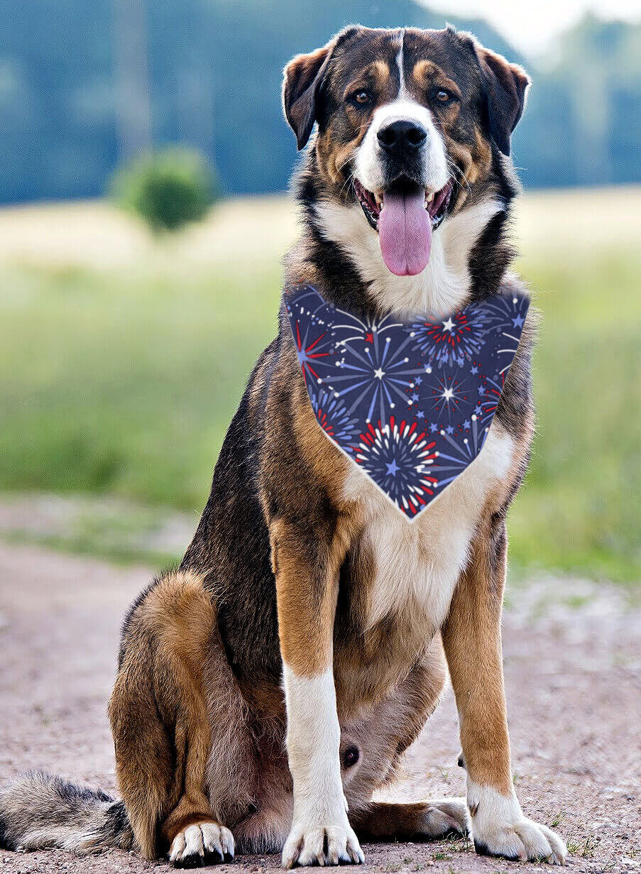 Show Your Pup’s Patriotic Side with This Fireworks Dog Bandana - Trendy Dog Boutique