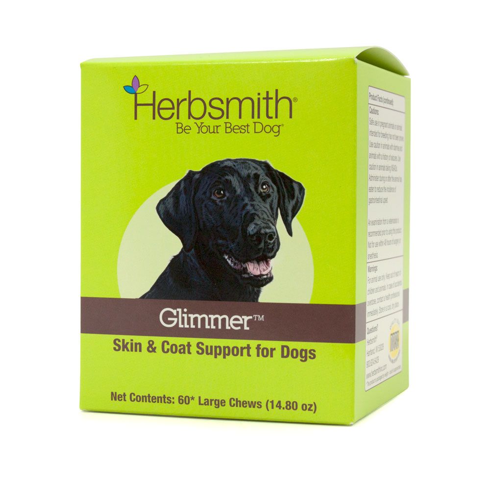 Glimmer: Dog Skin & Coat Support - Trendy Dog Boutique