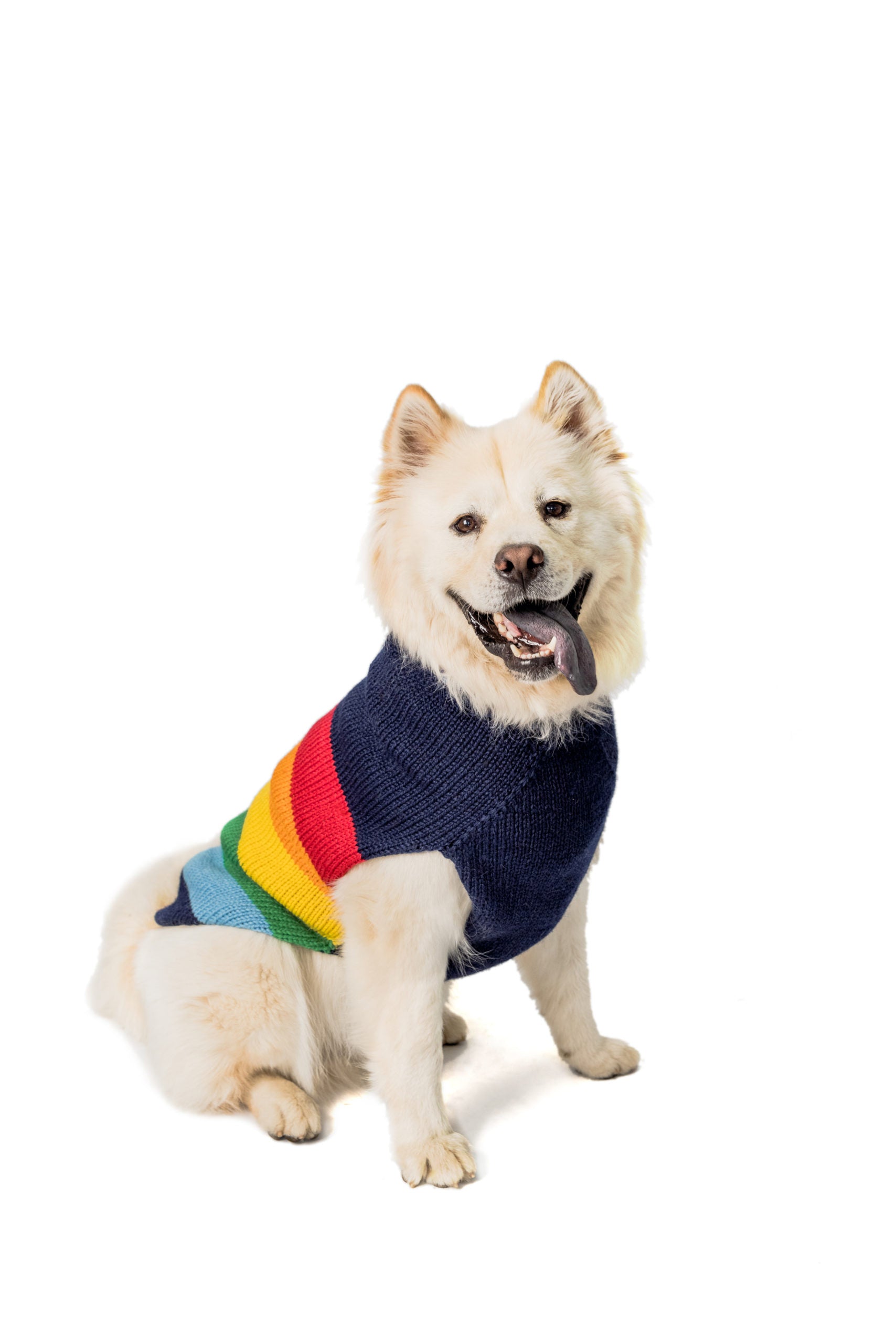 Good Vibes Dog Sweater, on dog, front - Trendy Dog Boutique