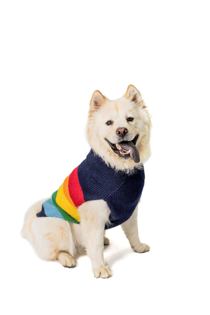 Good Vibes Dog Sweater, on dog, front - Trendy Dog Boutique