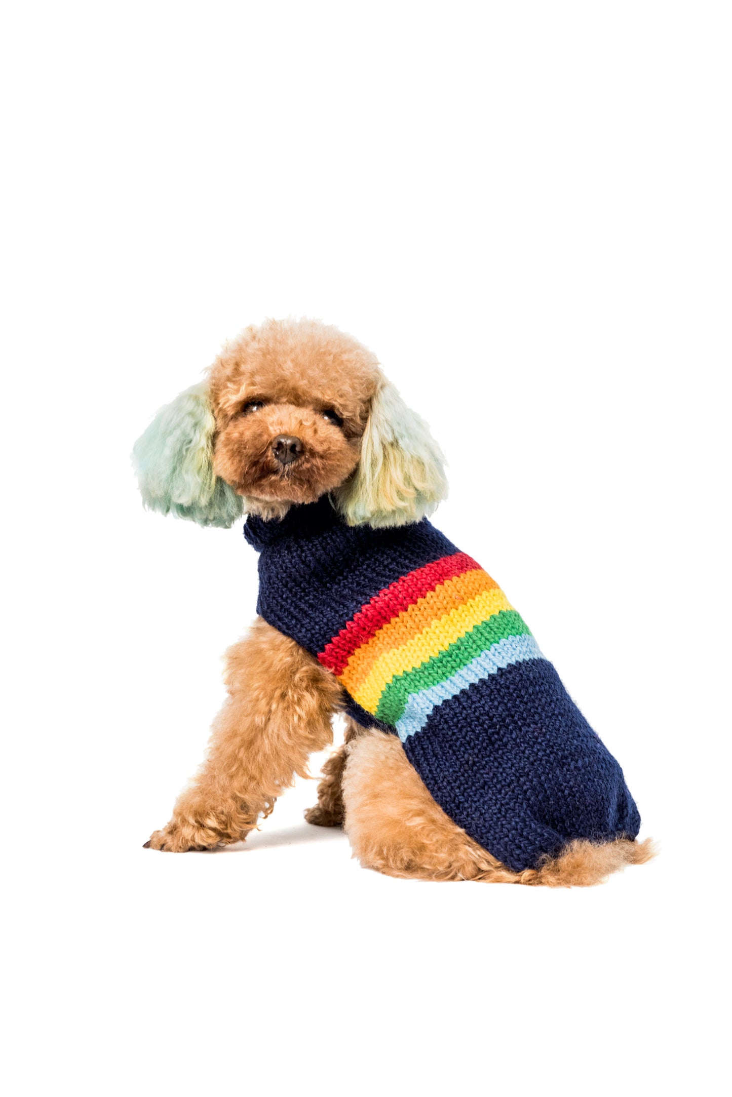 Good Vibes Dog Sweater, on dog, side - Trendy Dog Boutique