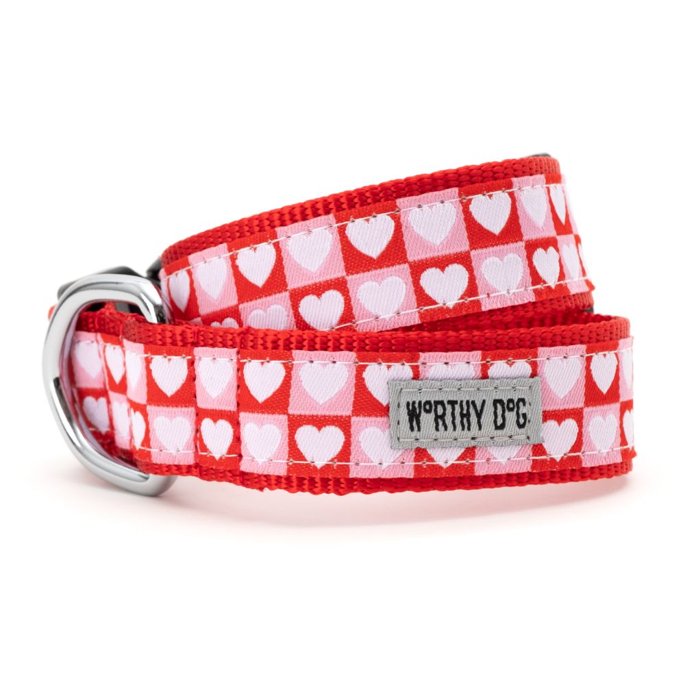 Color Block Hearts Adjustable Dog Collar, Front View - Trendy Dog Boutique