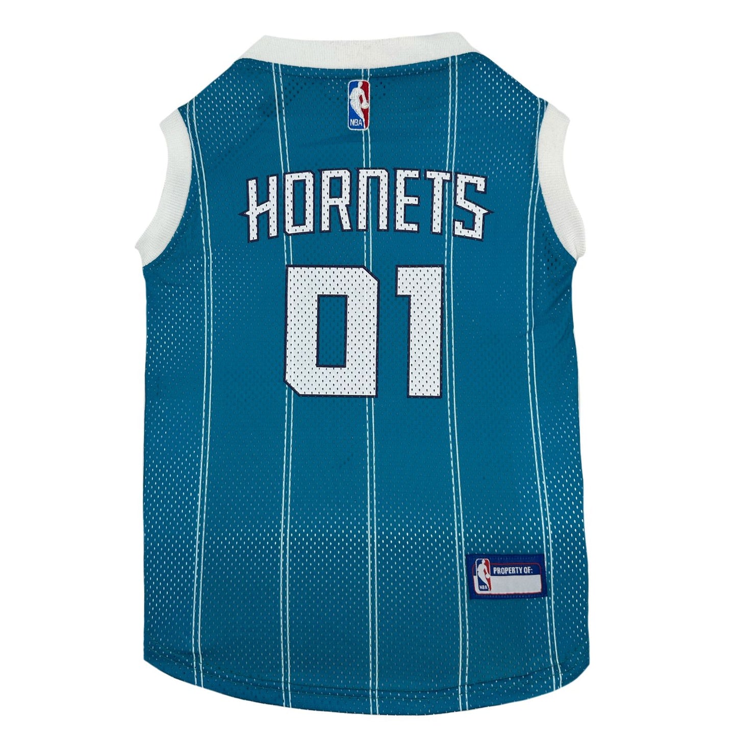 Charlotte Hornets Mesh Jersey - Trendy Dog Boutique