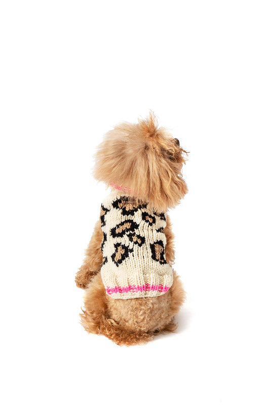 Leopard Print Dog Sweater, On Dog, Rear - Trendy Dog Boutique