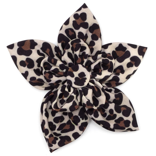 Leopard Print Flower Pet Collar Accessory - Trendy Dog Boutique