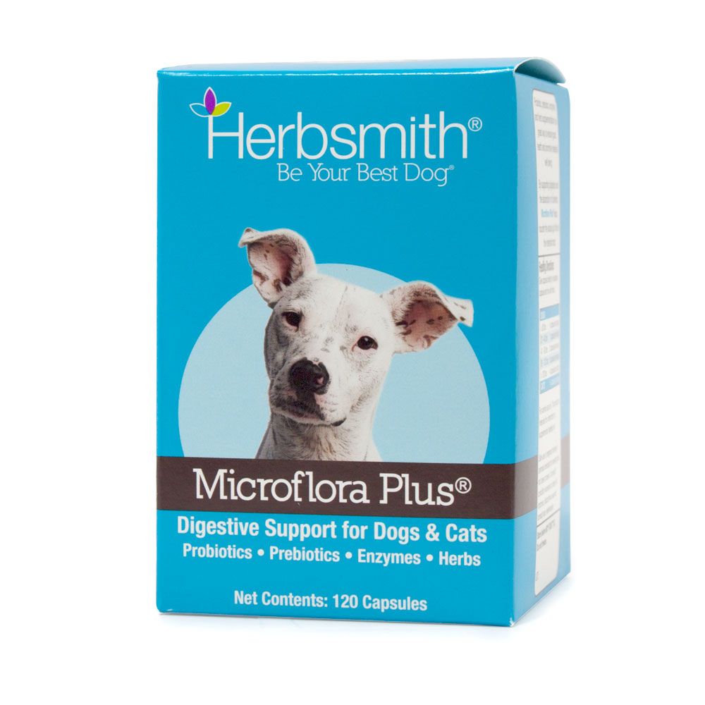 Microflora Plus: Dog Digestive Support, packaging - Trendy Dog Boutique