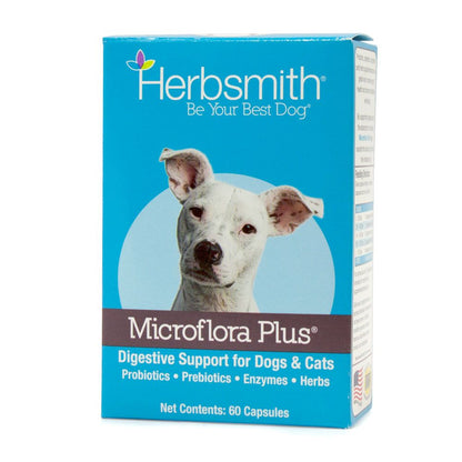 Microflora Plus: Dog Digestive Support - Trendy Dog Boutique