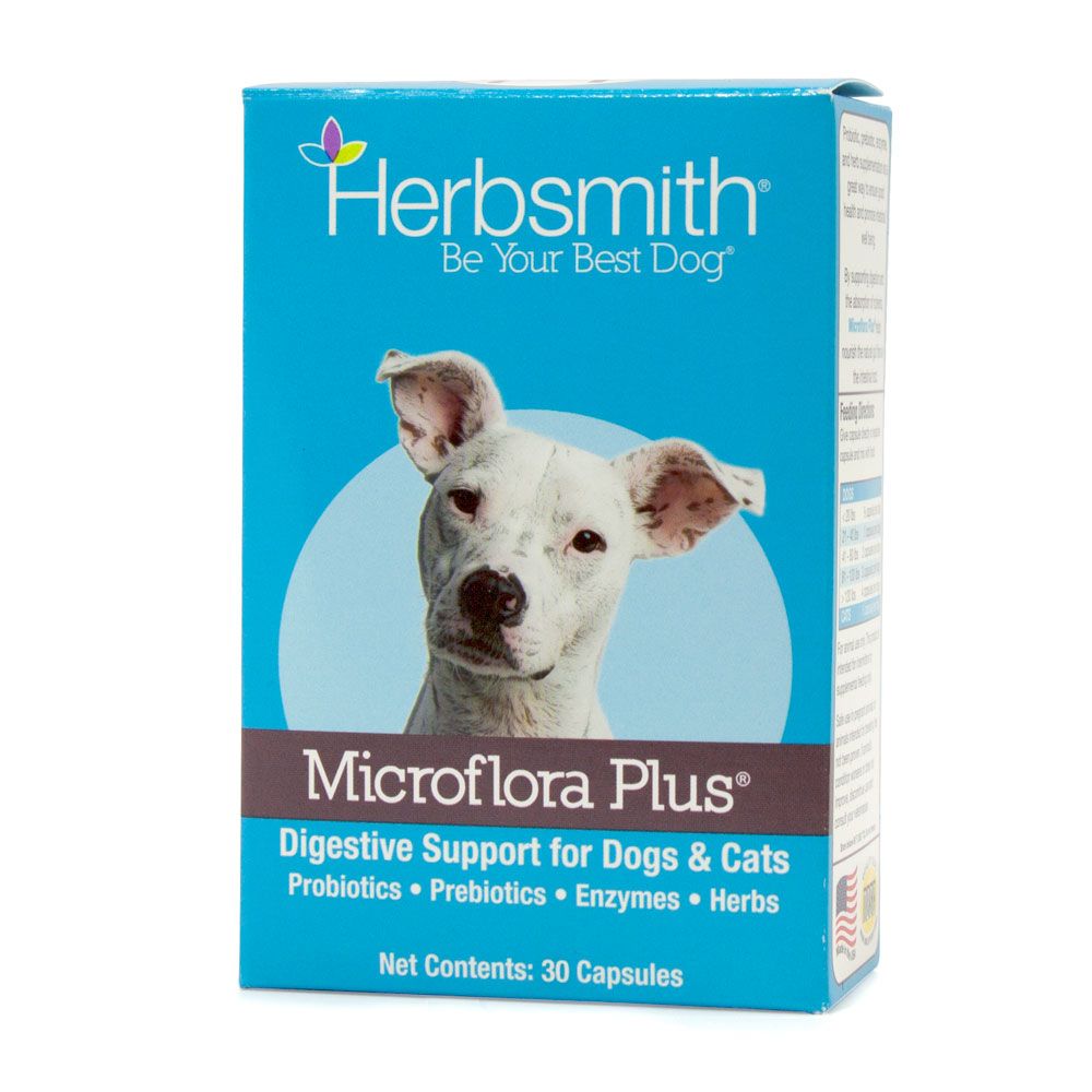 Microflora Plus: Dog Digestive Support, 30 ct- Trendy Dog Boutique