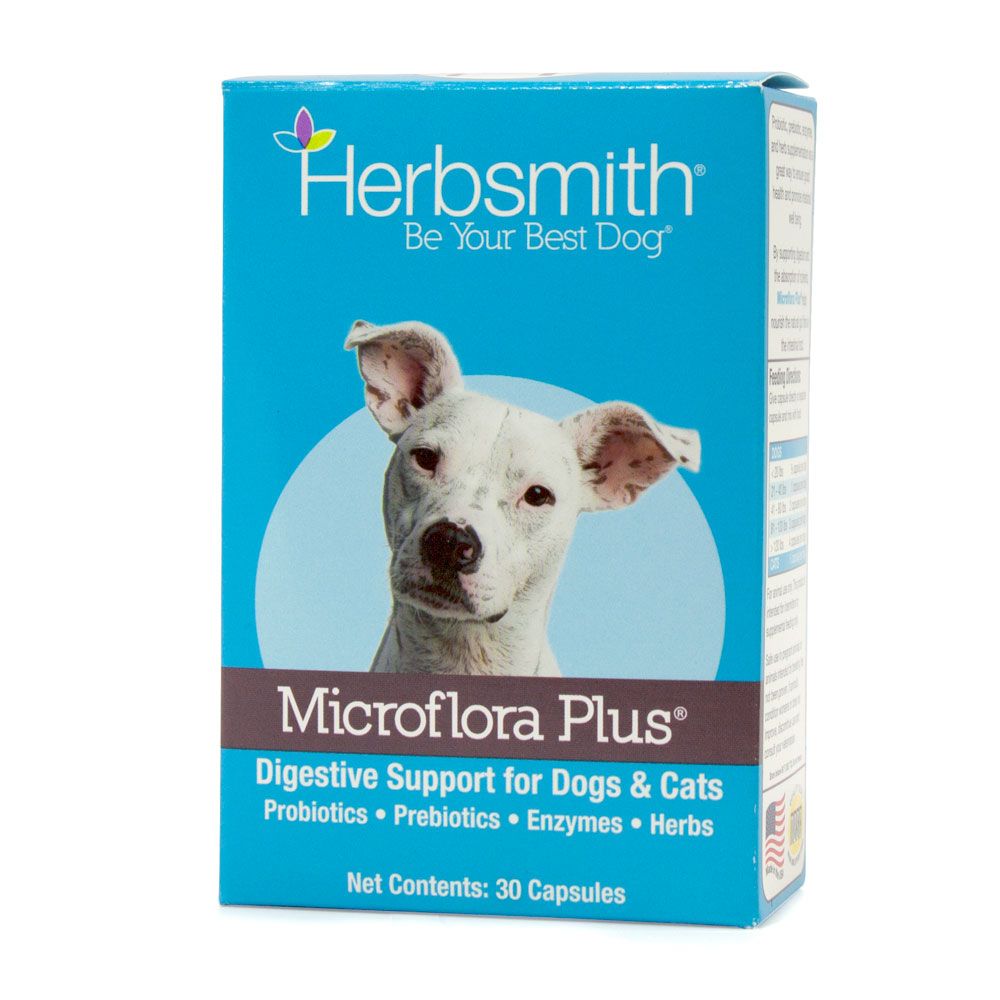 Microflora Plus: Digestive Support - Trendy Dog Boutique