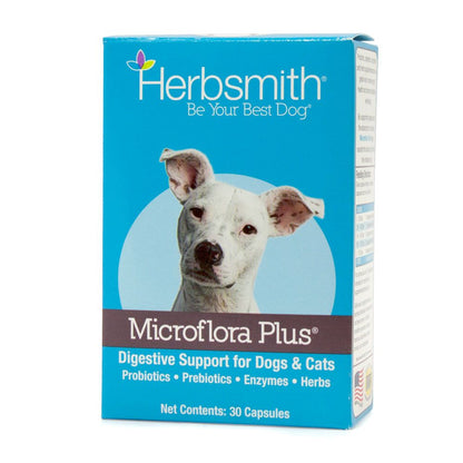 Microflora Plus: Dog Digestive Support, 30 ct- Trendy Dog Boutique