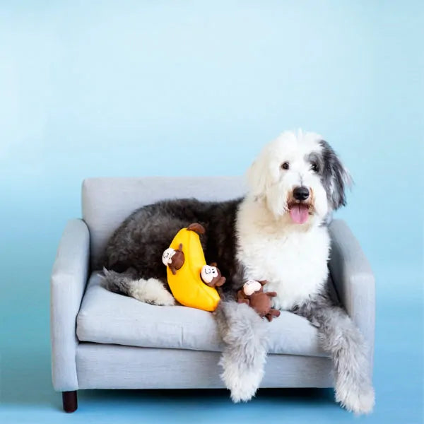 Monkey N Banana Interactive Dog Toy, With Dog - Trendy Dog Boutique