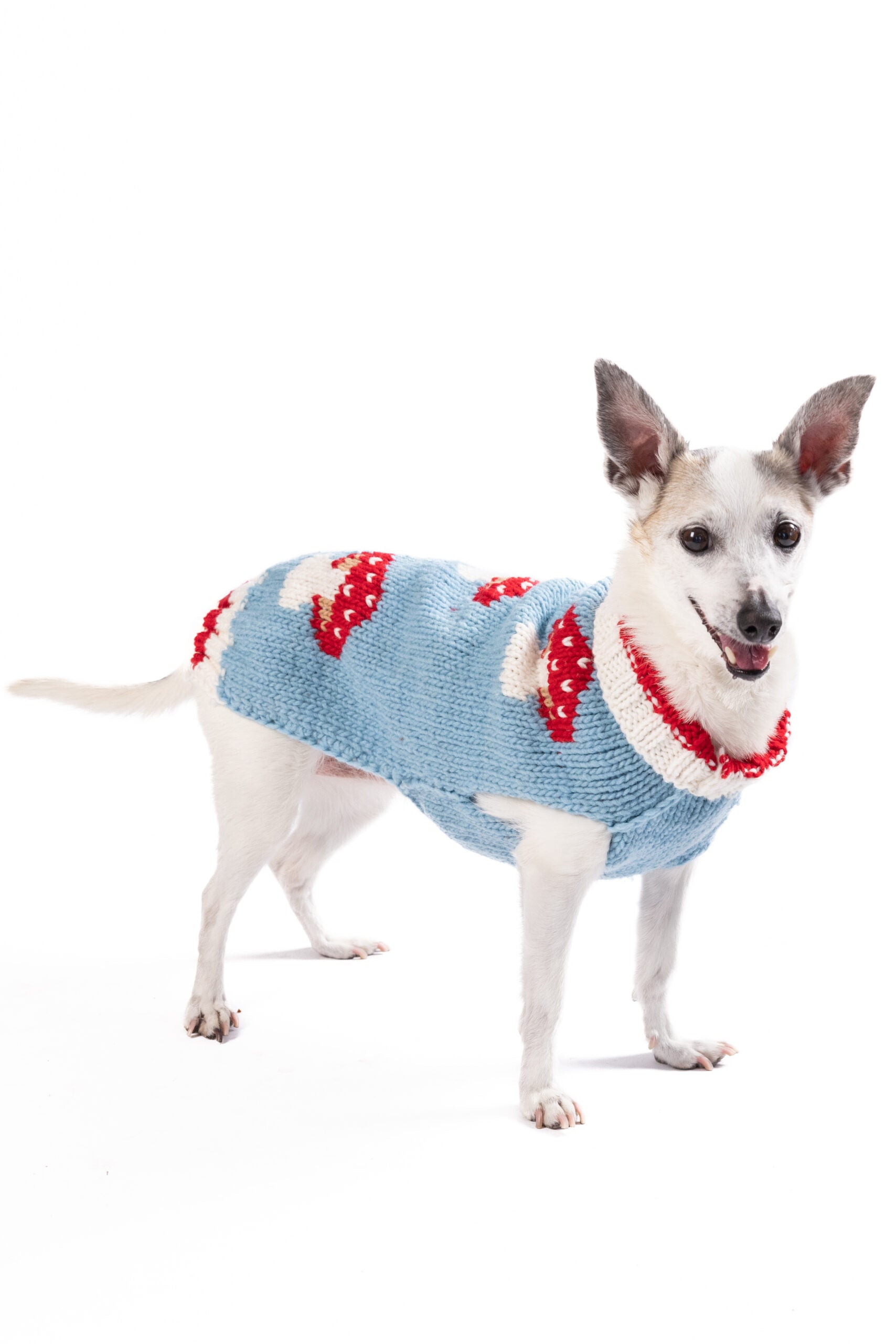 Blue Mushroom Dog Sweater - Trendy Dog Boutique