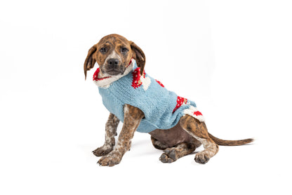 Blue Mushroom Dog Sweater - Trendy Dog Boutique