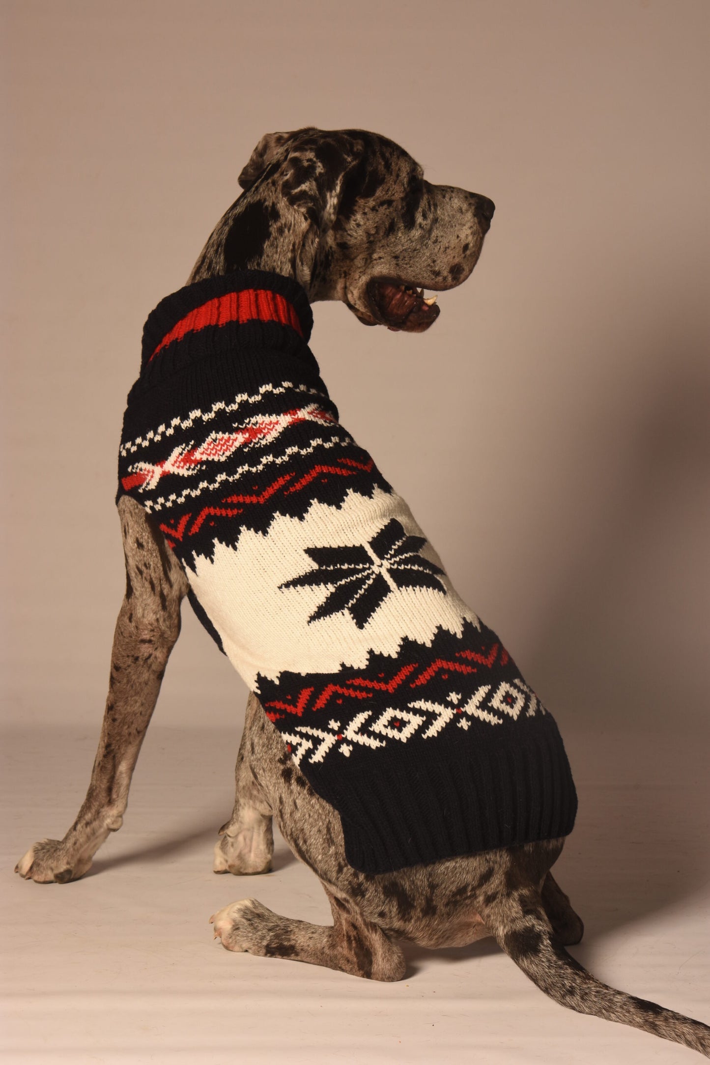 Navy Vail Dog Sweater, On Large Dog - Trendy Dog Boutique