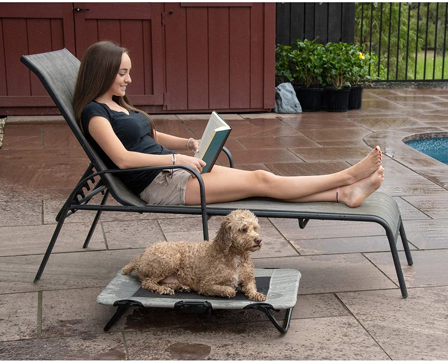 Lifestyle Pet Cot - Trendy Dog Boutique